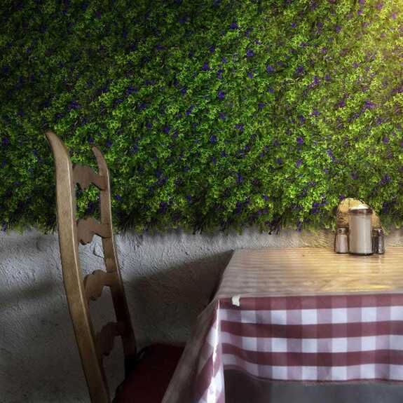 Vertikální zahrada Chrpa