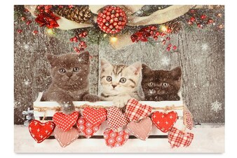 BD629 Obraz nástěnná svítící dekorace