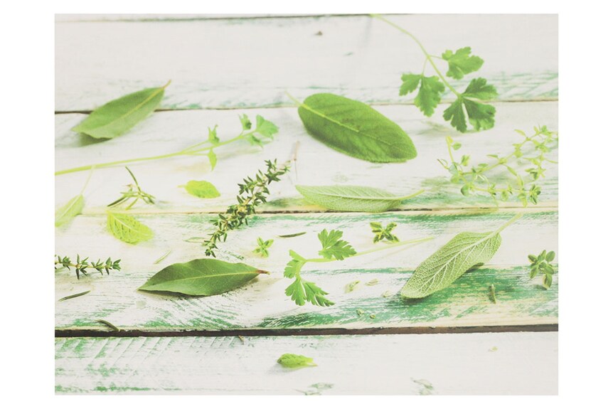 Obraz plátěný, sada 2ks