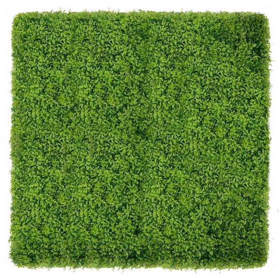 Vertikální zahrada Buxus