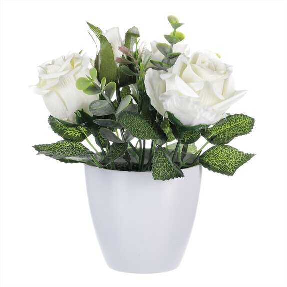 Růžičky v plastovém bílém obalu SG7335