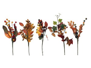 Podzimní větev, cena za 15 ks