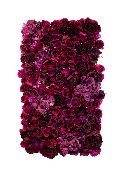 Vertikální zahrada American Dream