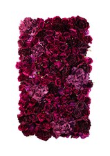 Vertikální zahrada American Dream