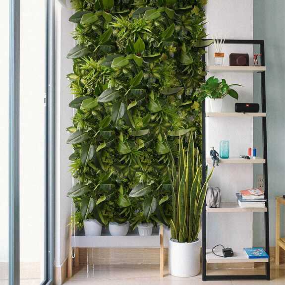 Vertikální zahrada Tropical Freshness