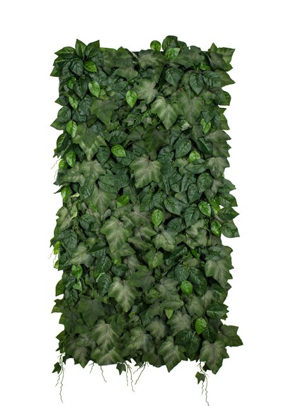 Vertikální zahrada Ivalance