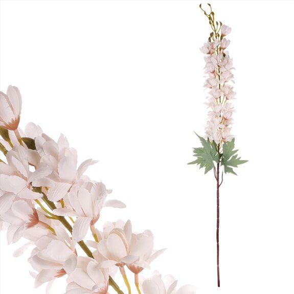 Ostrožka, bílá barva.