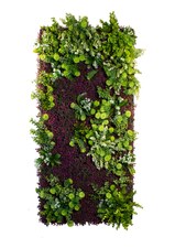 Vertikální zahrada Purple Haze