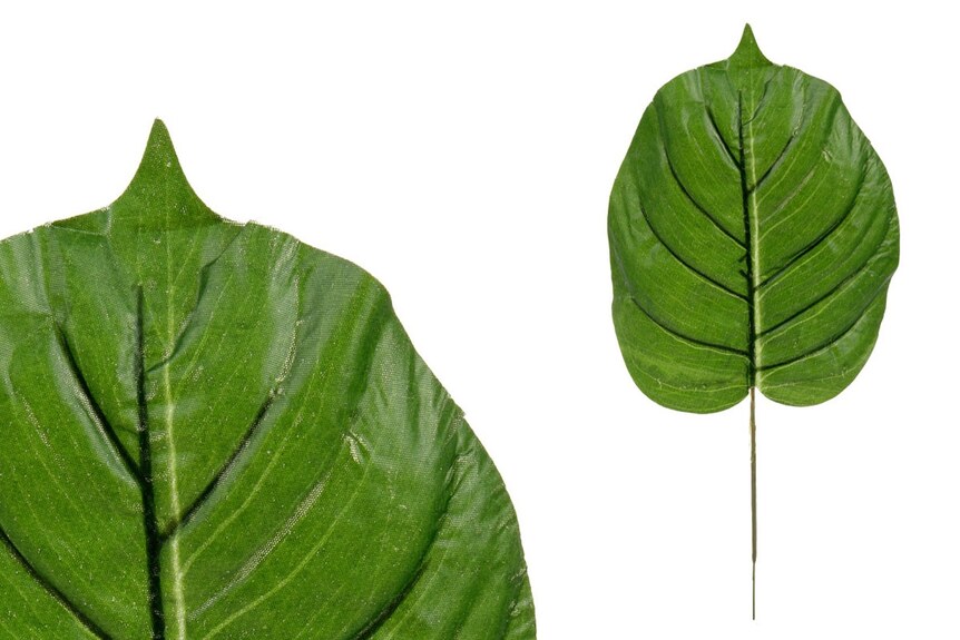 Květina umělá.  List monstery