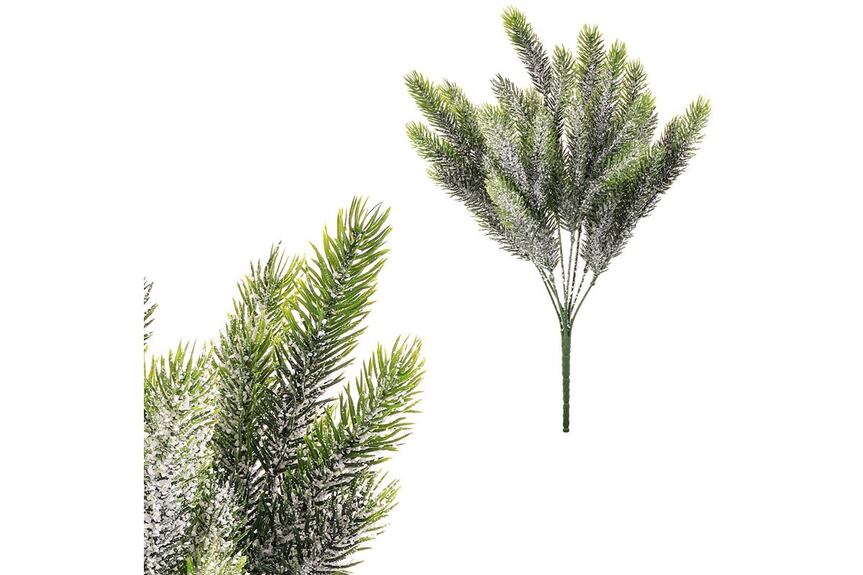 Jehličí v trsu, ojíněné. SG6096