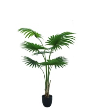 Umělý dekorativní strom - WASHINGTONIA
ROBUSTA GD4302