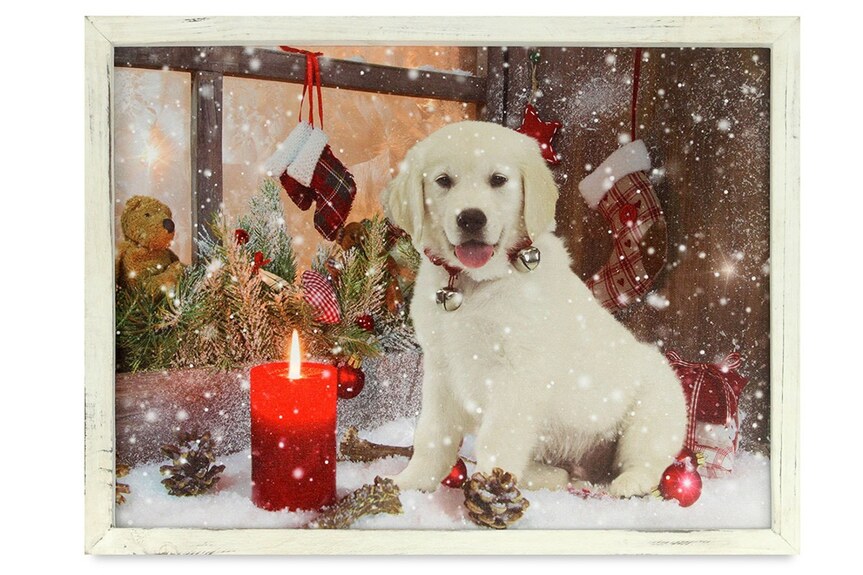 Obraz BD596 nástěnná svítící dekorace