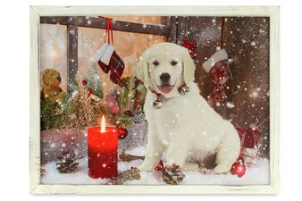 Obraz BD596 nástěnná svítící dekorace