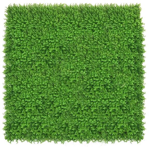 Vertikální zahrada Wielomlecz