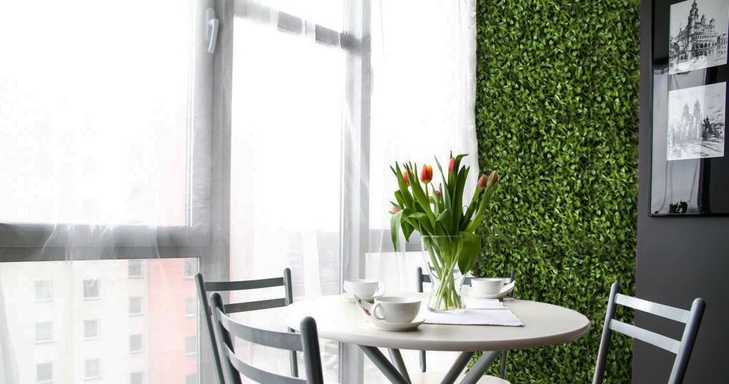 Vertikální zahrada Peperomia