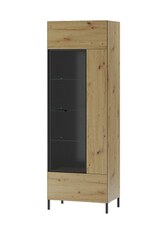 Vitrína LAKI 10 L/P