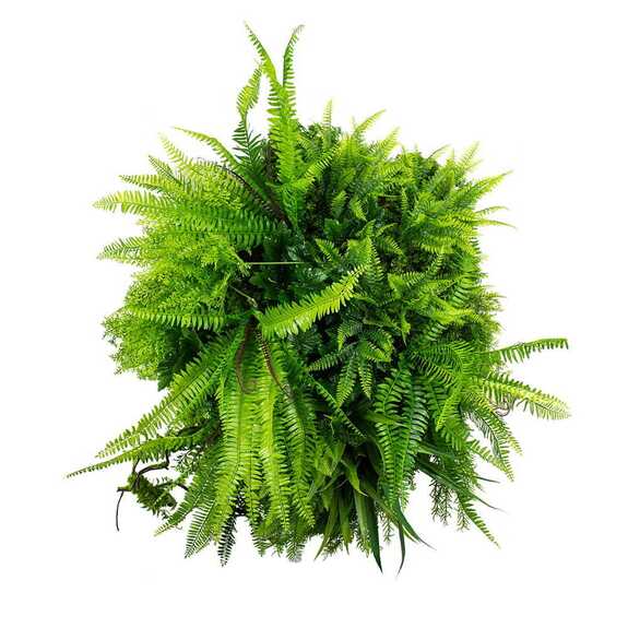 Podhled - FLOATING GARDEN GD514