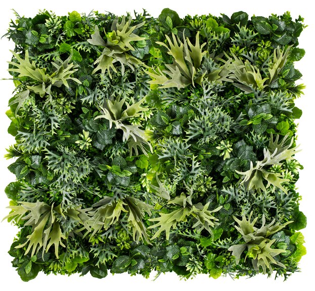 Vertikální zahrada Moose Horns