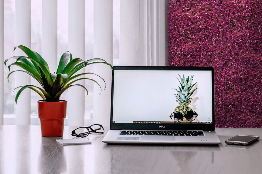 Vertikální zahrada Růžová fuchsiová