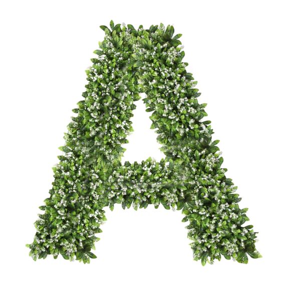 Dekorativní písmeno z růži A-Z