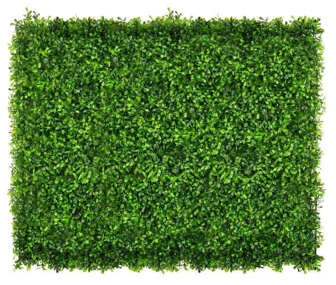 Vertikální zahrada Zelená třezalka