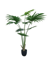 Umělý dekorativní strom - WASHINGTONIA
ROBUSTA GD4303