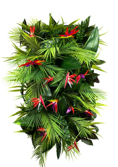 Vertikální zahrada Passionfruit