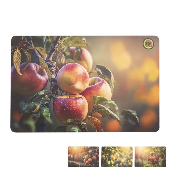 Prostírání UH 43,5x28,5 cm ovoce mix, náhr. 728089