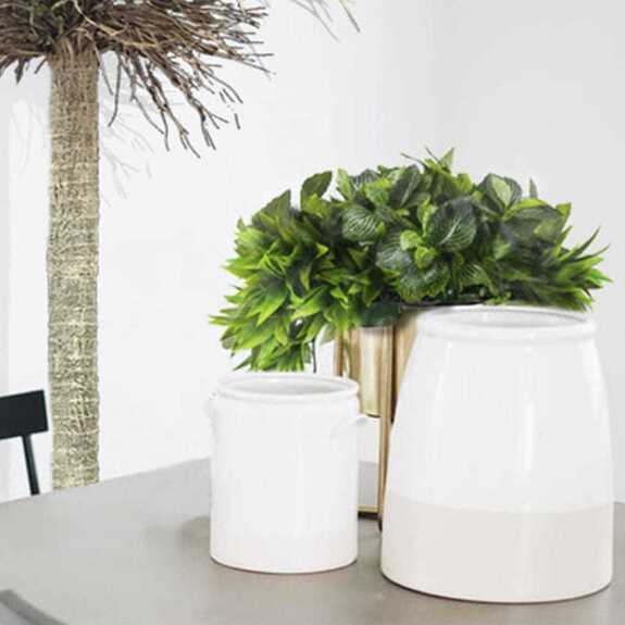 Výplň květináčů pro interiéry - Albatros