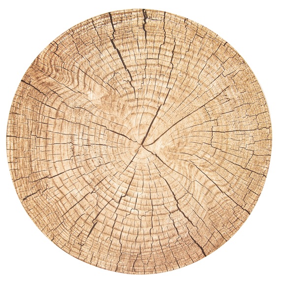 Prostírání korek WOODEN pr. 38 cm