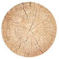 Prostírání korek WOODEN pr. 38 cm