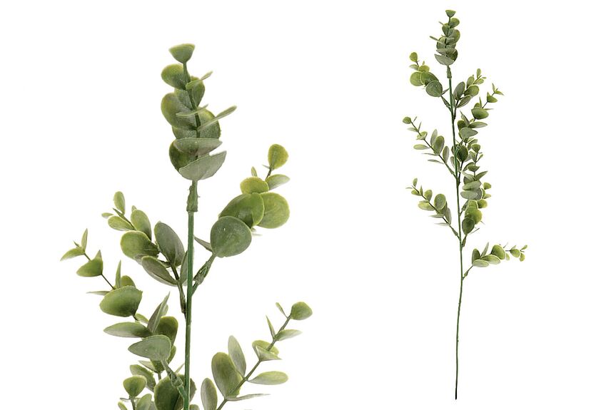 Eukalyptus. Květina umělá plastová