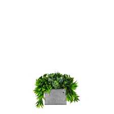 Výplň květináčů pro interiéry - Albatros