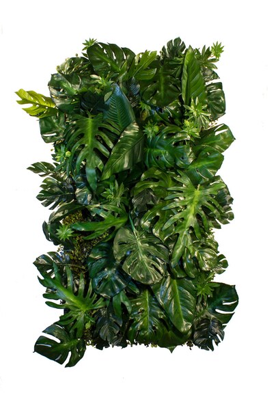 Vertikální zahrada Palm Beach