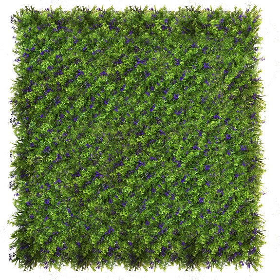 Vertikální zahrada Chrpa