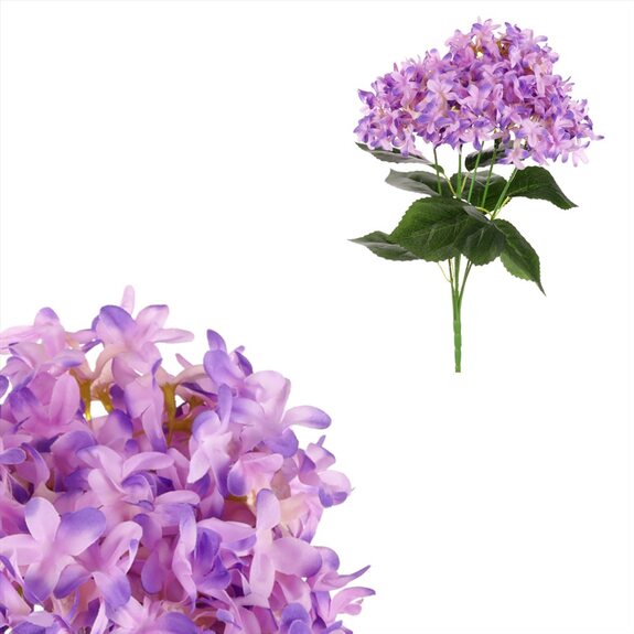 Šeřík v pugetu KN7046