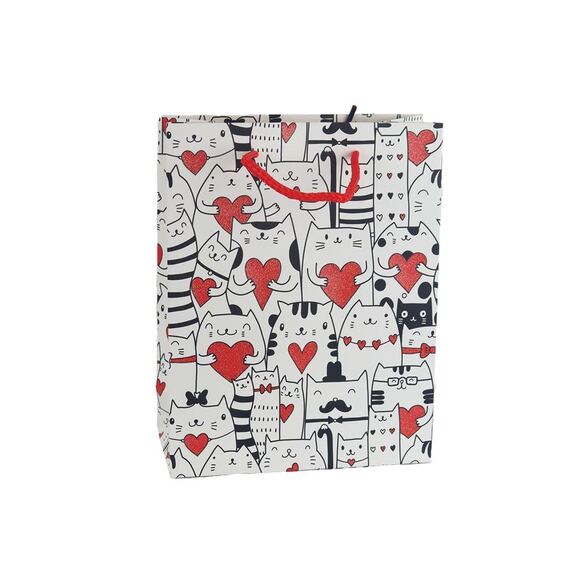 Dárková taška A0287/1