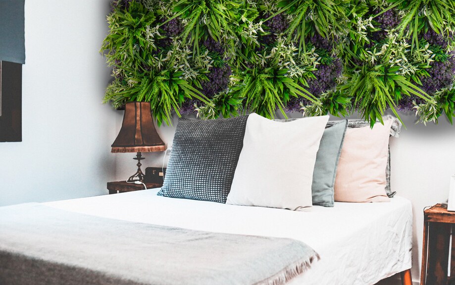 Vertikální zahrada Provence