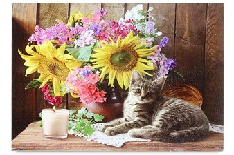 BD569 Obraz, nástěnná svítící dekorace - LED světla