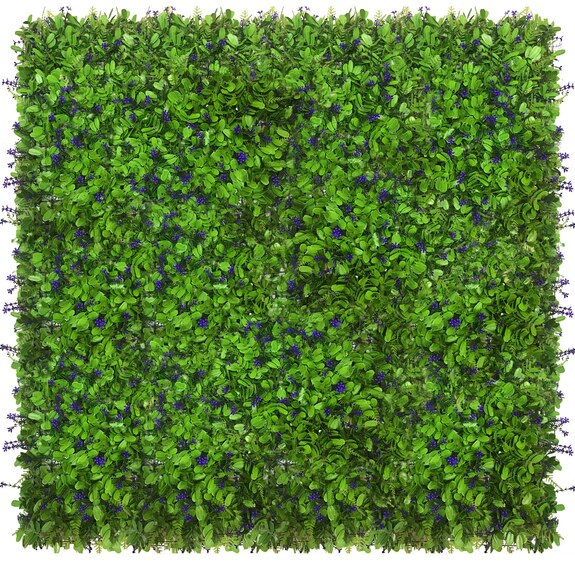 Vertikální zahrada Pomněnka