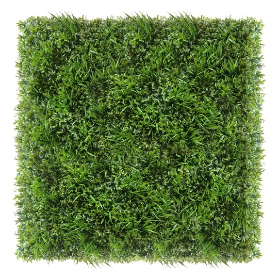 Vertikální zahrada Ruskus