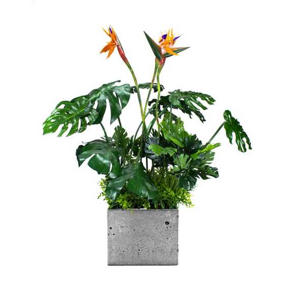 Výplň květináčů pro interiéry - Sunrise