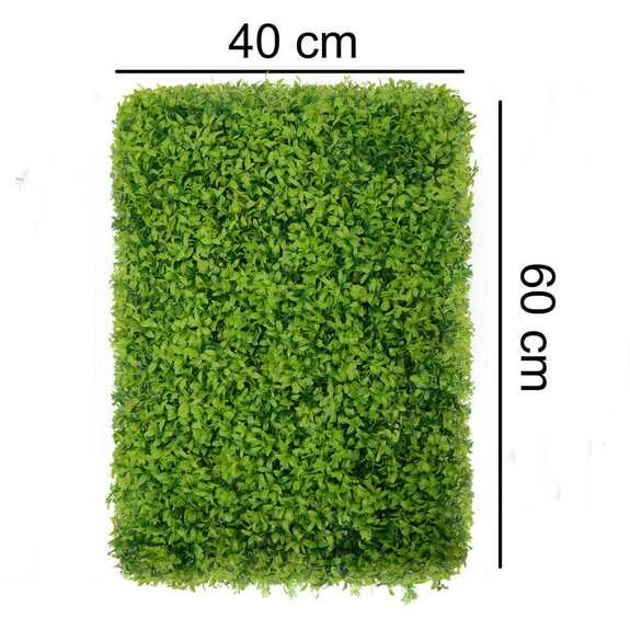 Vertikální zahrada Buxus