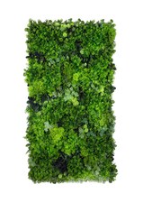 Vertikální zahrada Moss Mesh