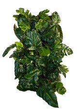 Vertikální zahrada Jungle Boost