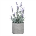 Levandule v obalu, šedivý betonový obal SG7329