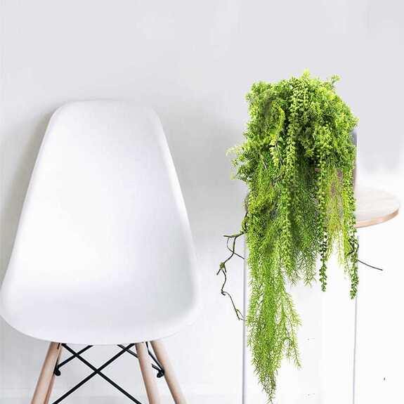 Výplň květináčů pro interiéry - Redrobin