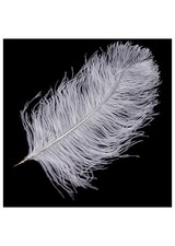 Pštrosí peří AK1926