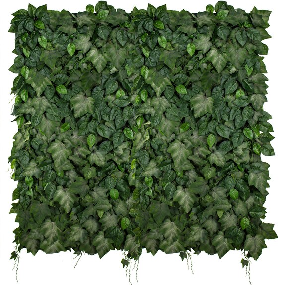 Vertikální zahrada Ivalance