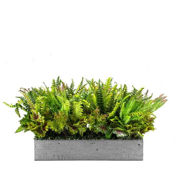 Výplň květináčů pro interiéry - Fairytale